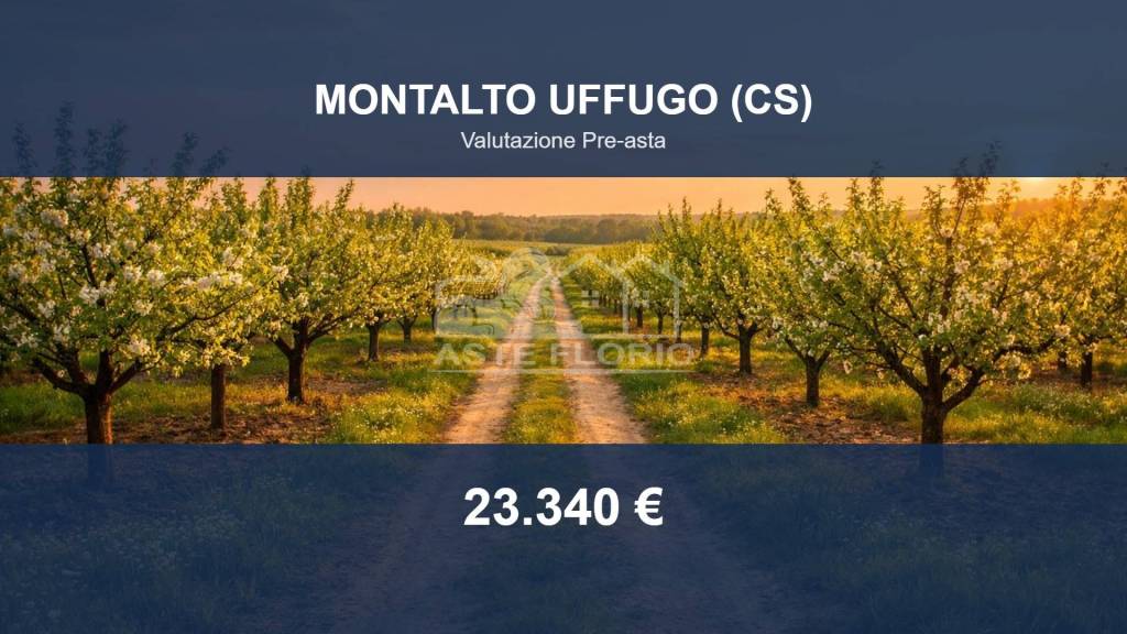 terreno agricolo in vendita a Montalto Uffugo in zona Settimo