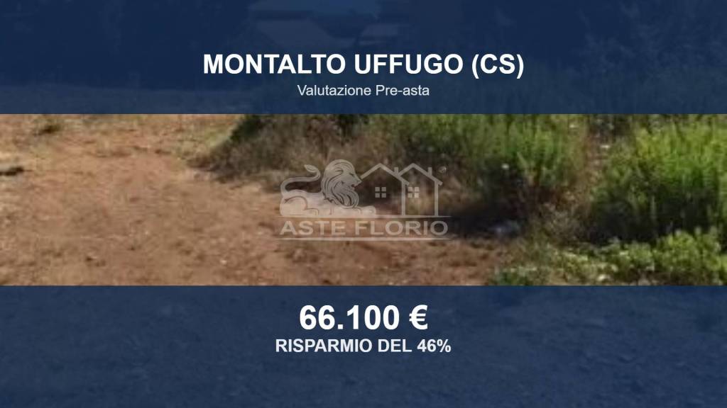 terreno agricolo in vendita a Montalto Uffugo in zona Salerni