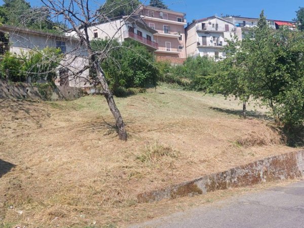 terreno agricolo in vendita a Montalto Uffugo in zona Parantoro