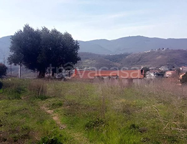 terreno agricolo in vendita a Montalto Uffugo in zona Lucchetta