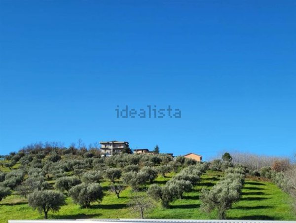 terreno edificabile in vendita a Montalto Uffugo