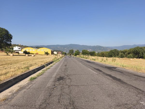 terreno agricolo in vendita a Montalto Uffugo in zona Lucchetta