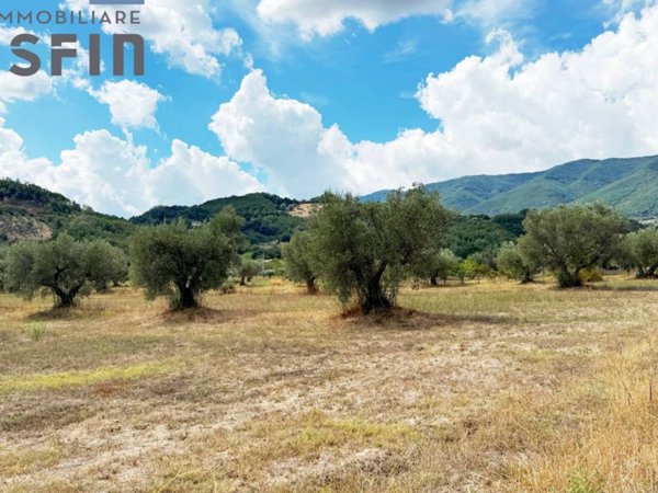 terreno agricolo in vendita a Montalto Uffugo in zona Spirito Santo