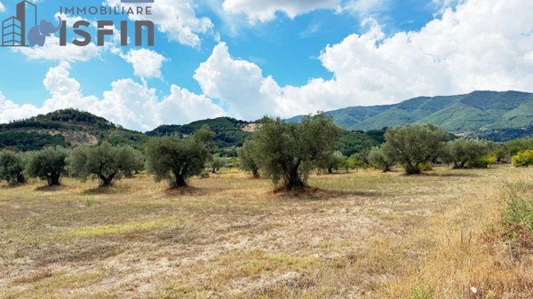terreno agricolo in vendita a Montalto Uffugo in zona Spirito Santo