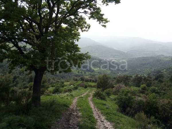 terreno agricolo in vendita a Montegiordano