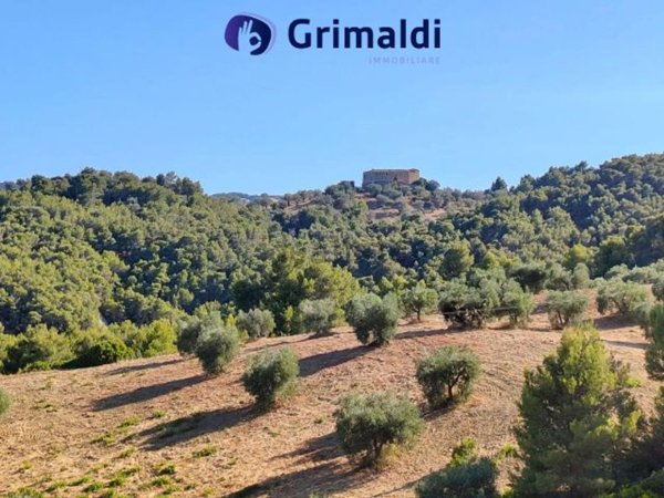 terreno agricolo in vendita a Montegiordano