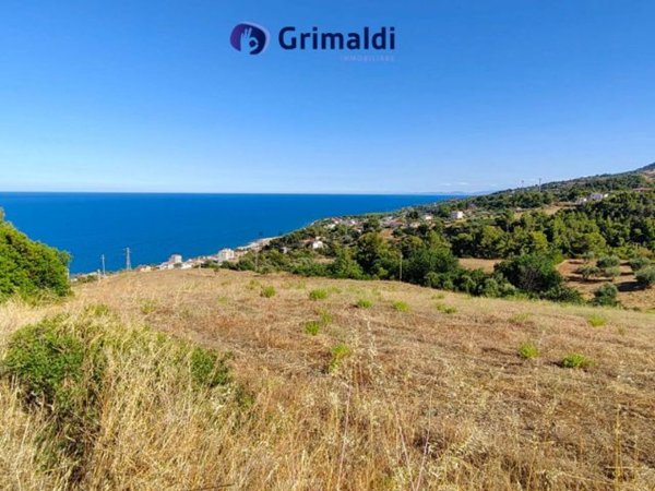 terreno agricolo in vendita a Montegiordano
