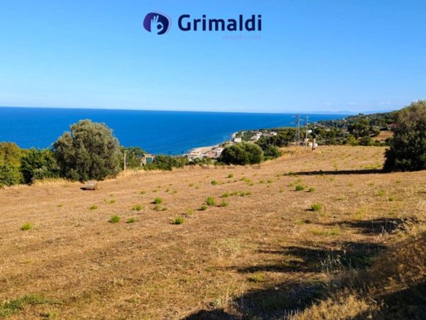 terreno agricolo in vendita a Montegiordano