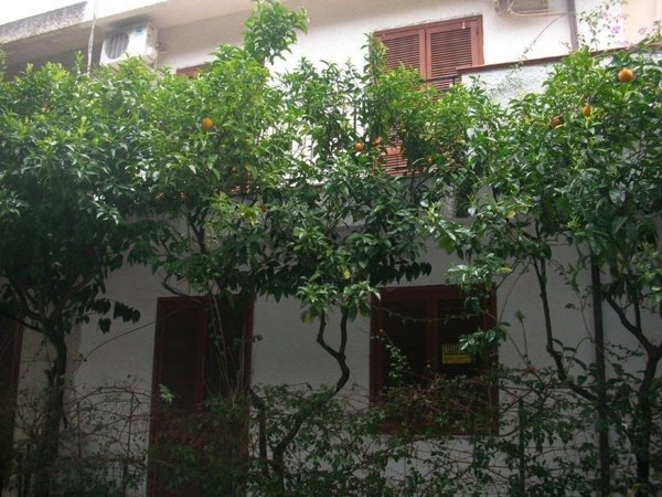 casa indipendente in vendita a Montegiordano in zona Montegiordano Marina