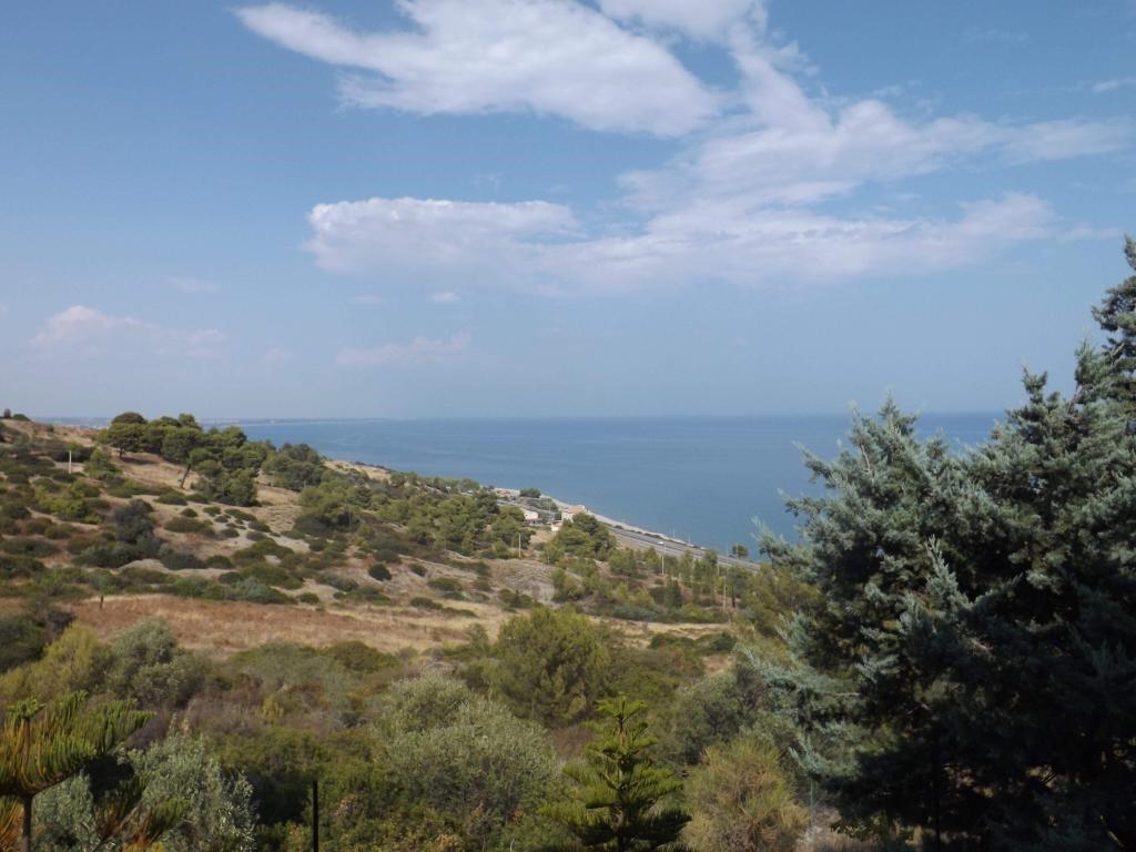 casa indipendente in vendita a Montegiordano in zona Montegiordano Marina