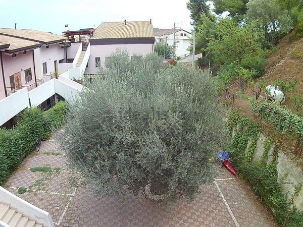 appartamento in vendita a Montegiordano in zona Montegiordano Marina