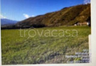 casa indipendente in vendita a Mottafollone