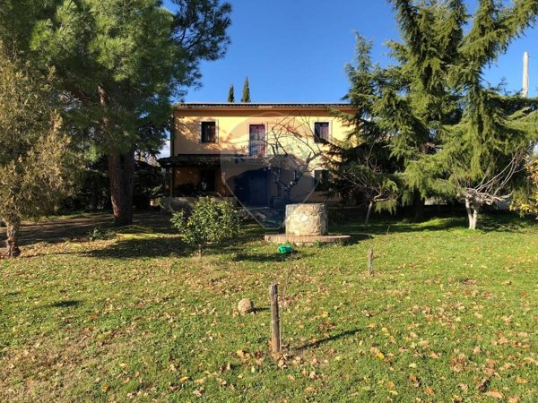 casa indipendente in vendita a Mottafollone