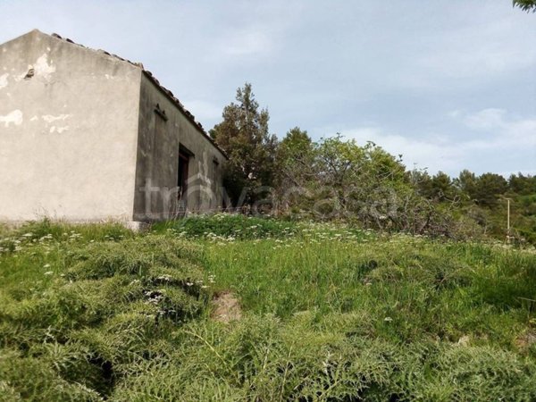 terreno agricolo in vendita ad Oriolo