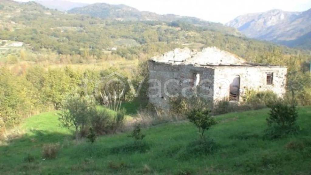 casa indipendente in vendita ad Orsomarso