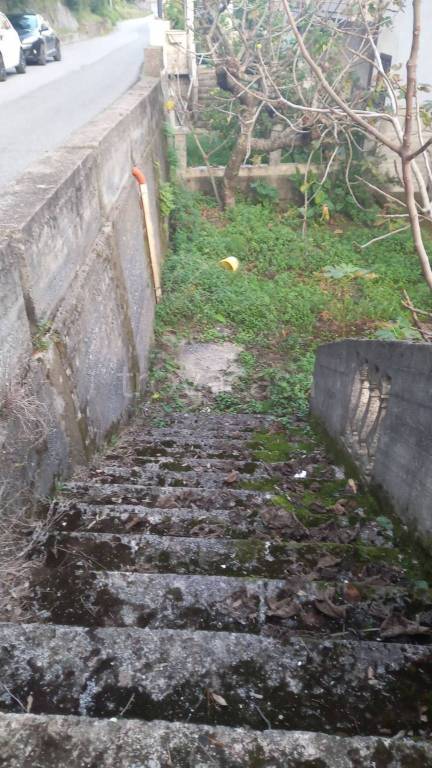 casa indipendente in vendita ad Orsomarso