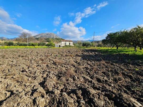 terreno agricolo in vendita ad Orsomarso
