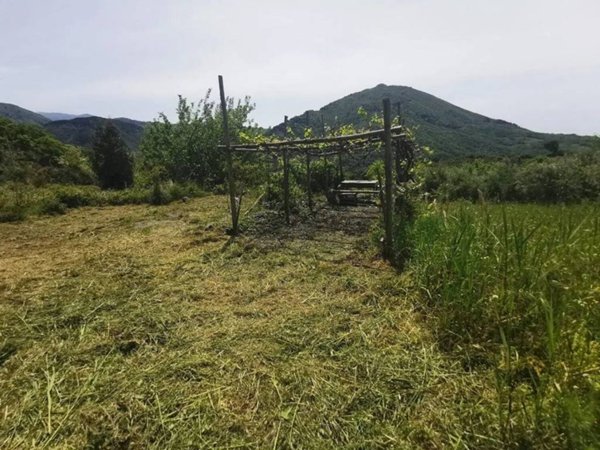 terreno agricolo in vendita ad Orsomarso