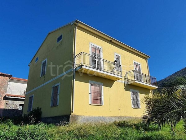 casa indipendente in vendita ad Orsomarso