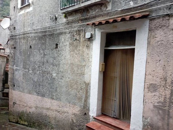 casa indipendente in vendita ad Orsomarso