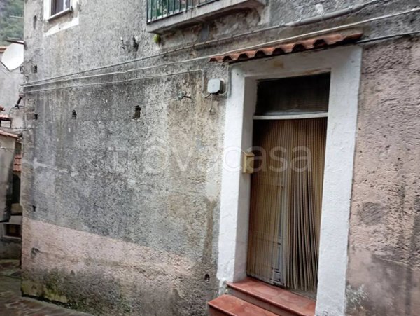 casa indipendente in vendita ad Orsomarso
