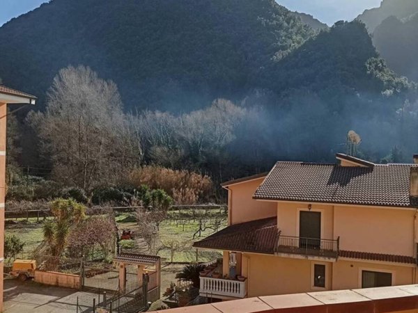 appartamento in vendita ad Orsomarso