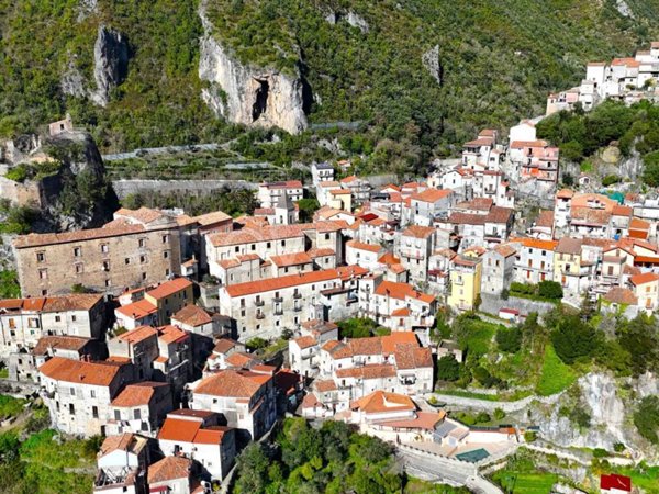 appartamento in vendita ad Orsomarso