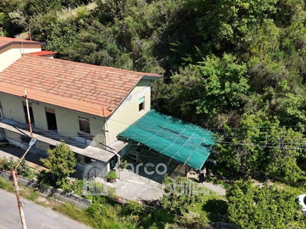 casa indipendente in vendita ad Orsomarso