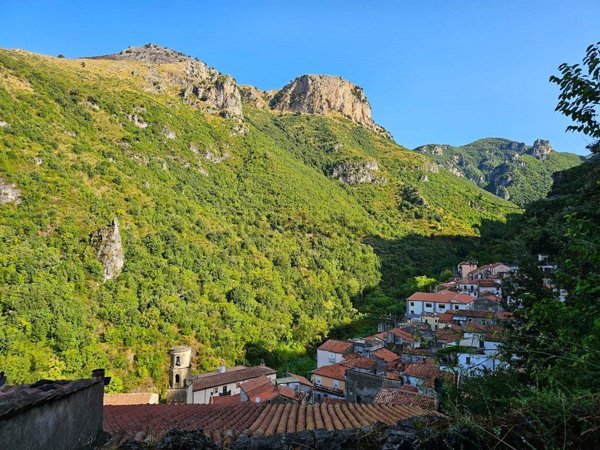 appartamento in vendita ad Orsomarso