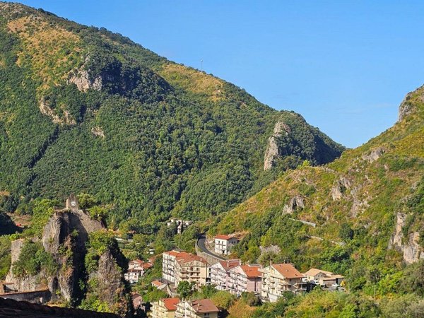 appartamento in vendita ad Orsomarso