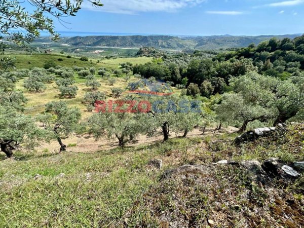 terreno agricolo in vendita a Paludi