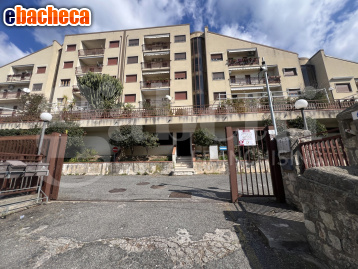 appartamento in vendita a Paola