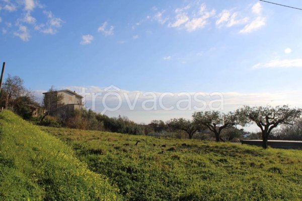 terreno agricolo in vendita a Paola