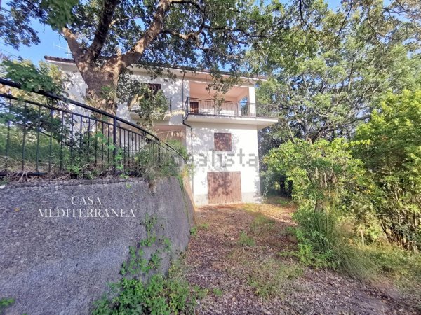 casa indipendente in vendita a Papasidero
