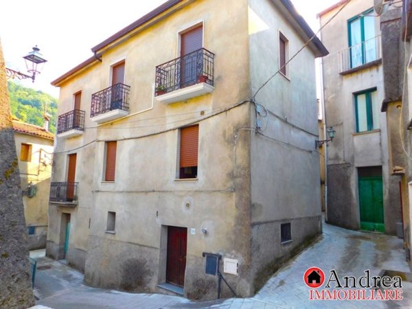 appartamento in vendita a Papasidero