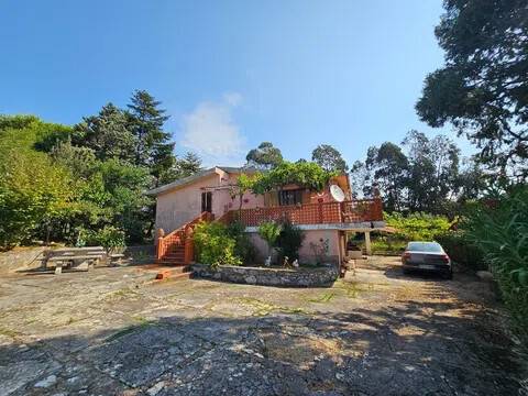 casa indipendente in vendita a Papasidero