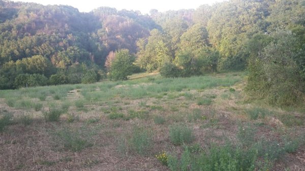 bifamiliare in vendita a Paterno Calabro