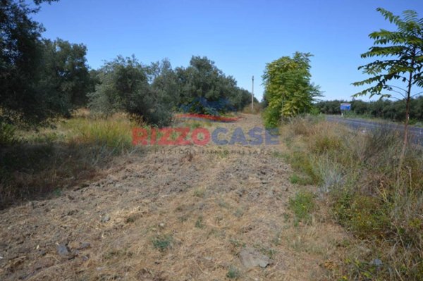 terreno agricolo in vendita a Pietrapaola
