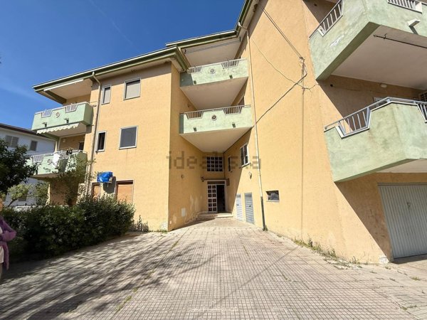 appartamento in vendita a Pietrapaola