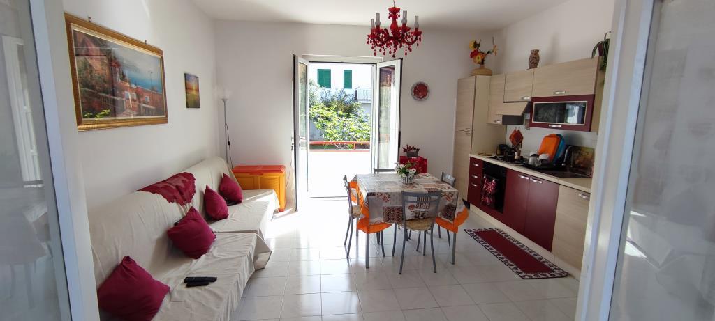 appartamento in vendita a Praia a Mare in zona Foresta