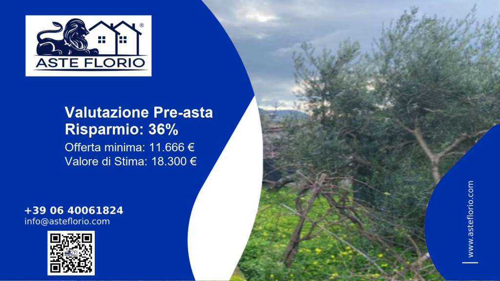 terreno agricolo in vendita a Praia a Mare in zona Foresta