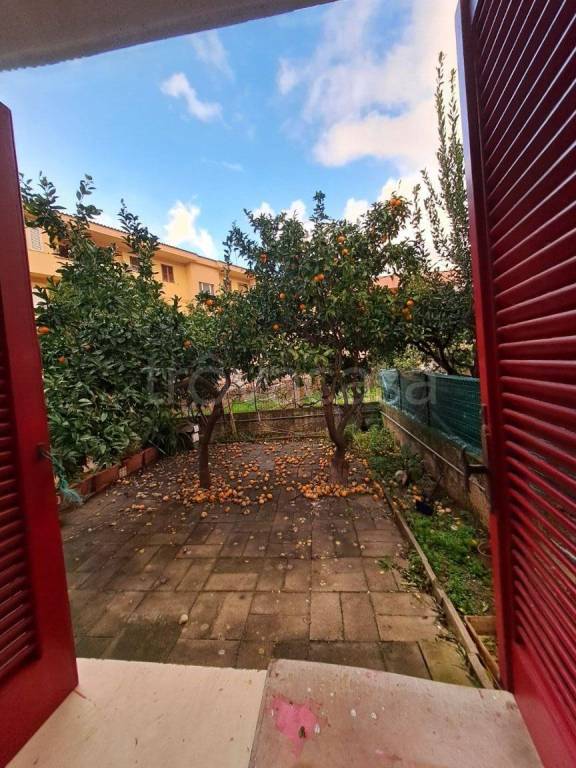 appartamento in vendita a Praia a Mare