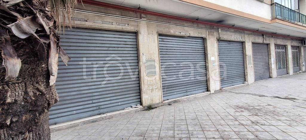negozio in vendita a Praia a Mare