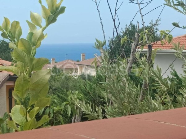 casa indipendente in vendita a Praia a Mare in zona Foresta