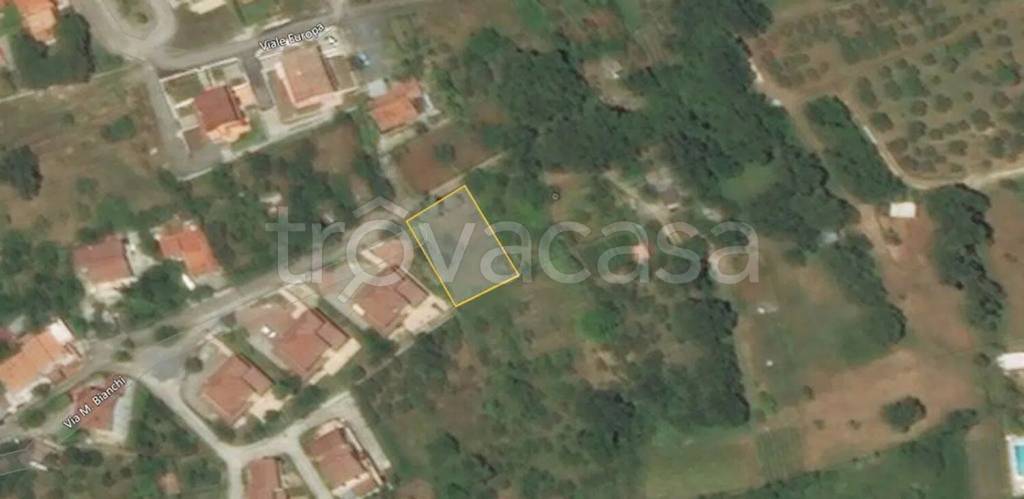 terreno agricolo in vendita a Praia a Mare