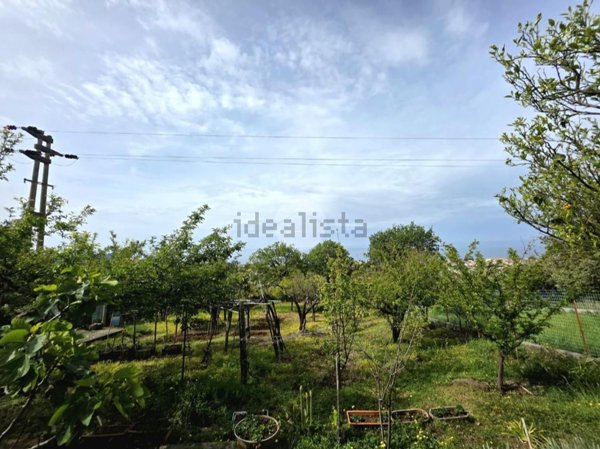 appartamento in vendita a Praia a Mare