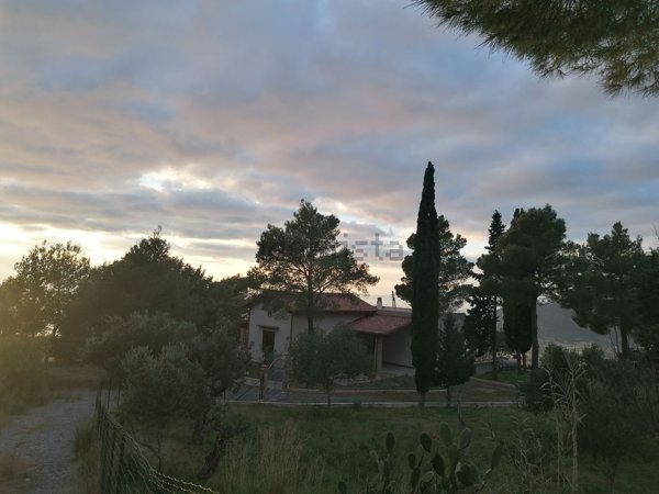 casa semindipendente in vendita a Praia a Mare