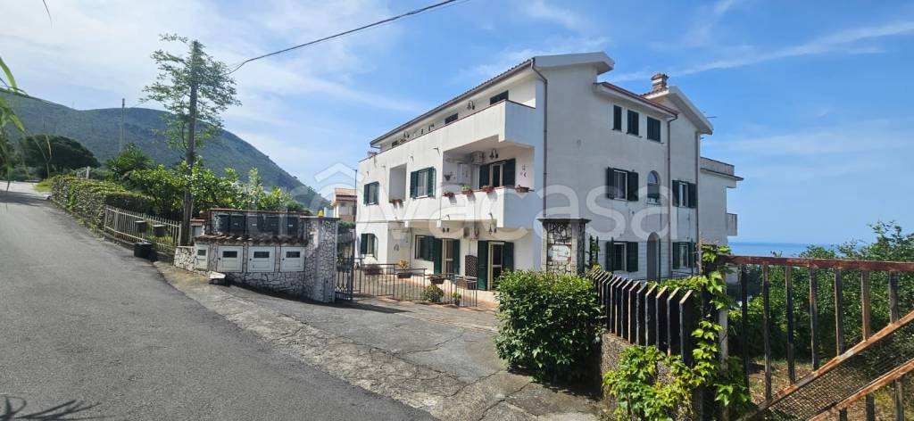 appartamento in vendita a Praia a Mare