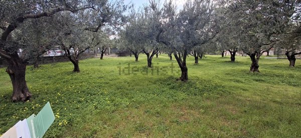 casa indipendente in vendita a Praia a Mare