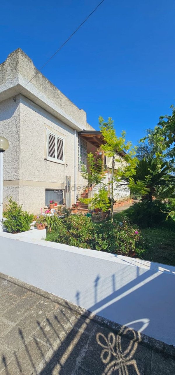 casa indipendente in vendita a Praia a Mare